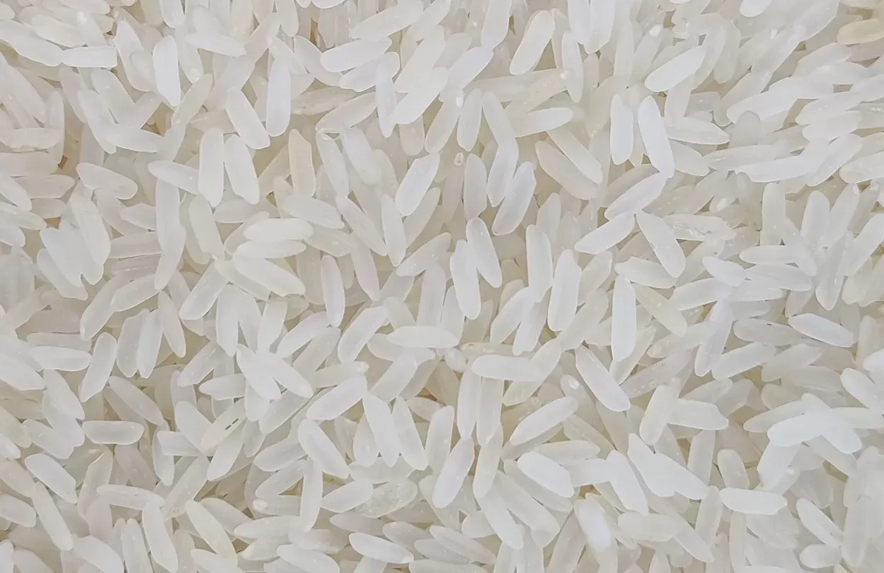 Indian Non Basmati Rice