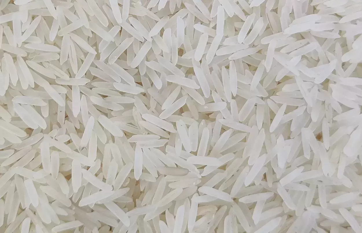 1121 Pesticides Residue Sella Rice